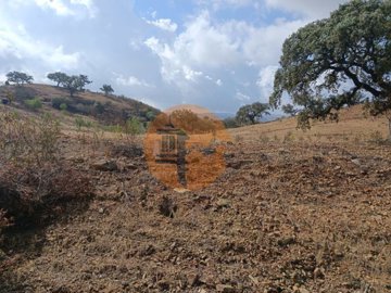 ida45e0301-0000-0500-0000-00001226d319