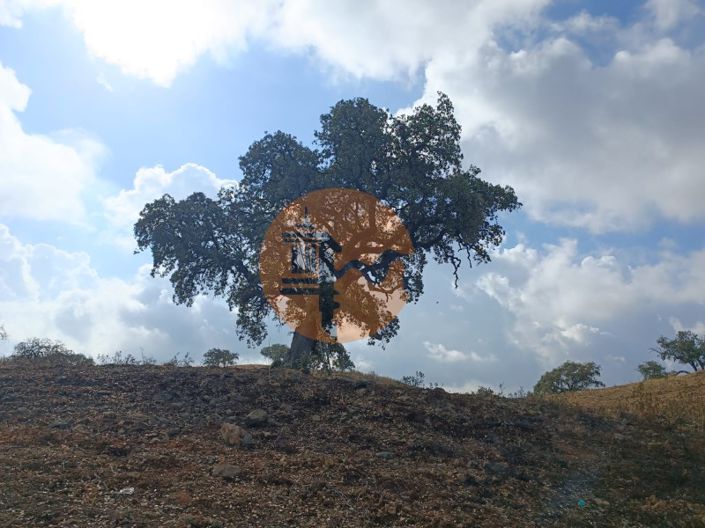 Image No.15-Plot for sale