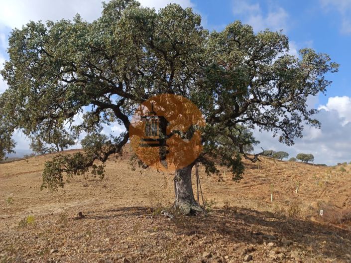 Image No.16-Plot for sale