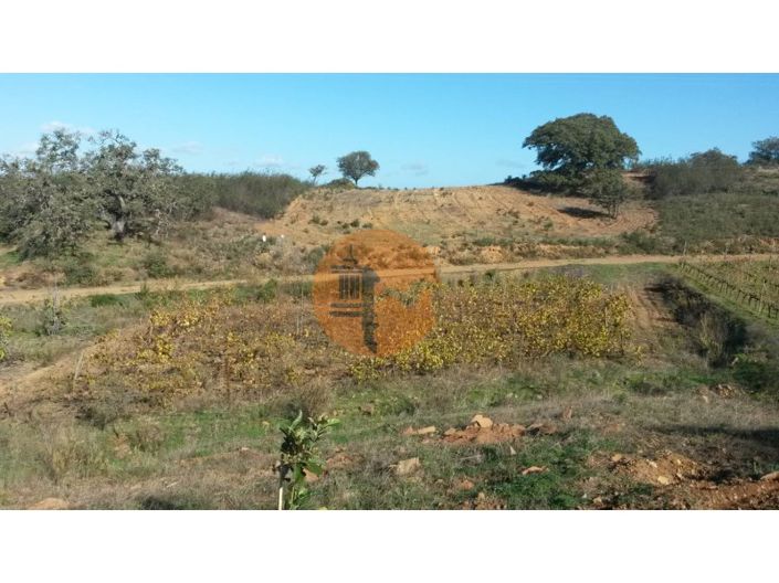 Image No.3-Plot for sale