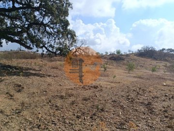 ida45e0301-0000-0500-0000-00001226d309