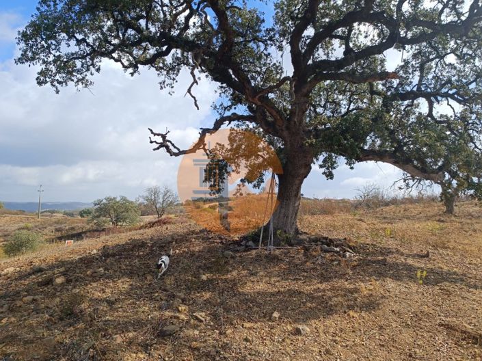 Image No.6-Plot for sale