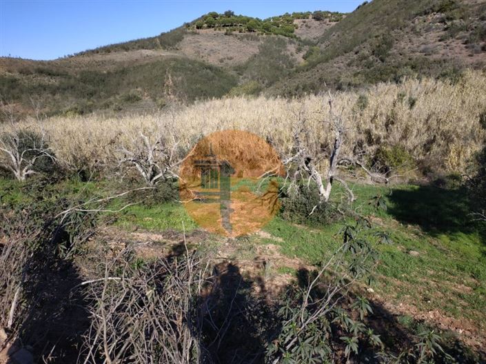 Image No.4-Plot for sale