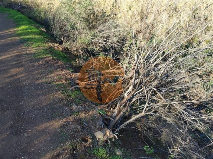 Image No.6-Plot for sale