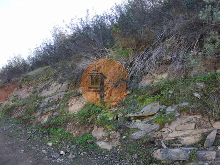 Image No.26-Plot for sale