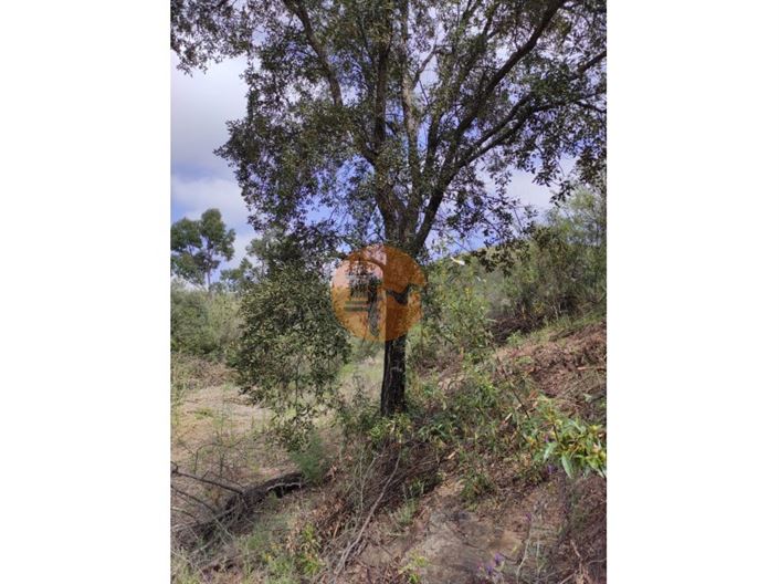 Image No.17-Plot for sale