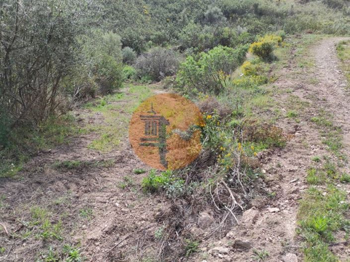 Image No.22-Plot for sale