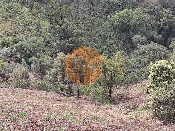 Image No.25-Plot for sale