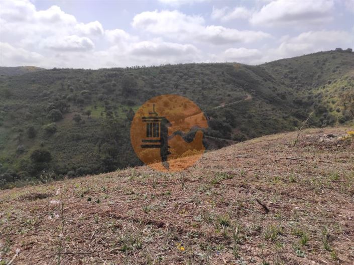 Image No.3-Plot for sale