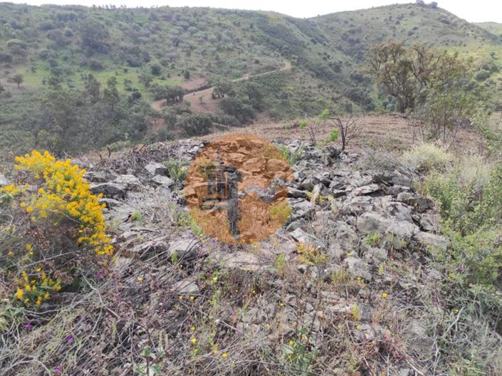 Image No.32-Plot for sale