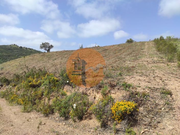 Image No.33-Plot for sale