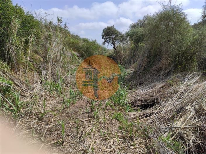 Image No.36-Plot for sale