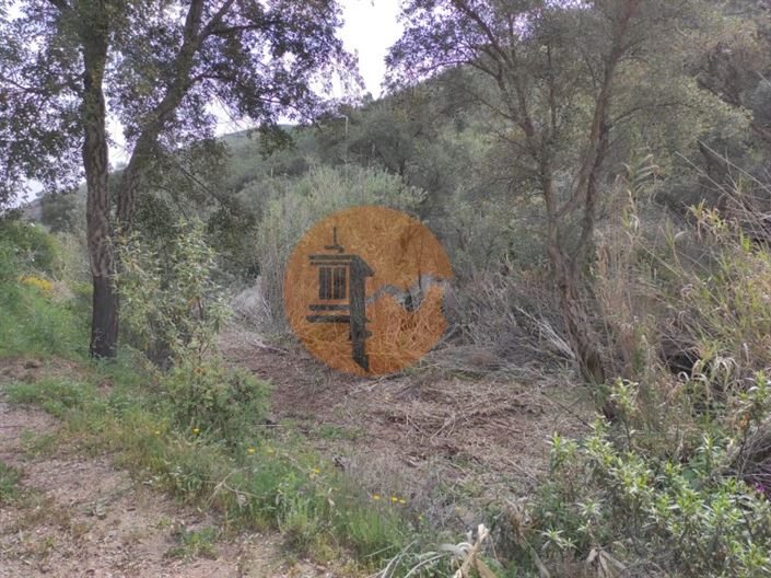 Image No.38-Plot for sale