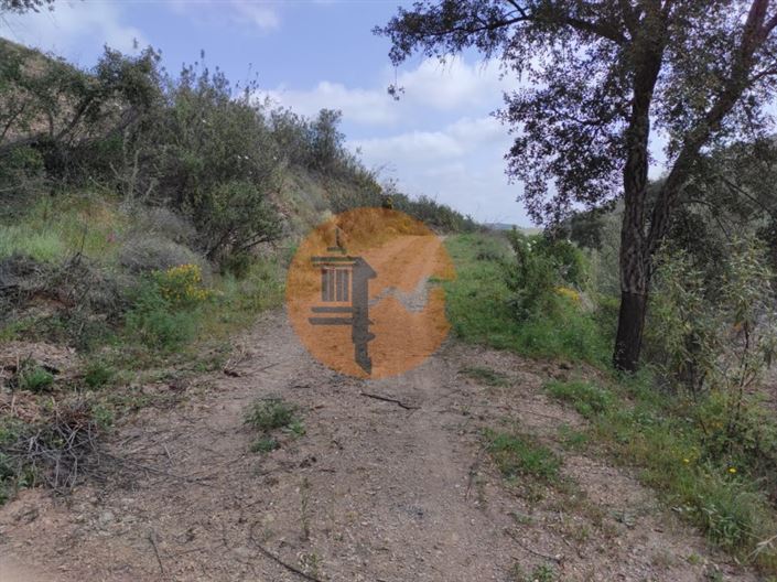 Image No.41-Plot for sale