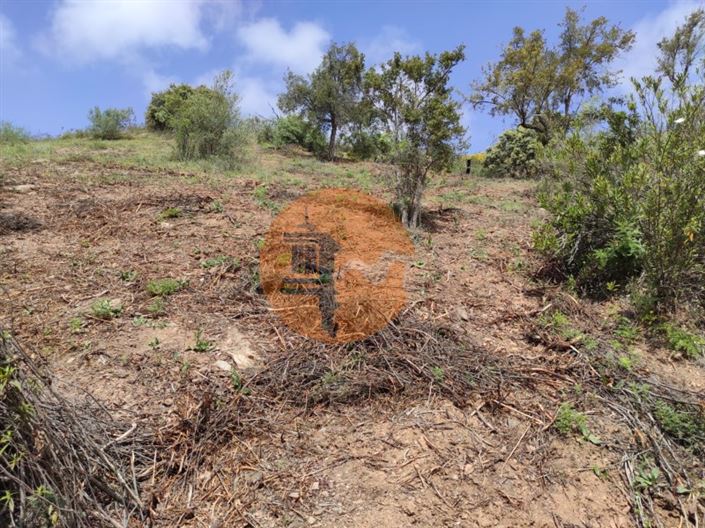 Image No.55-Plot for sale