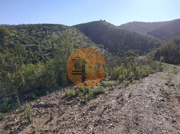 Image No.57-Plot for sale