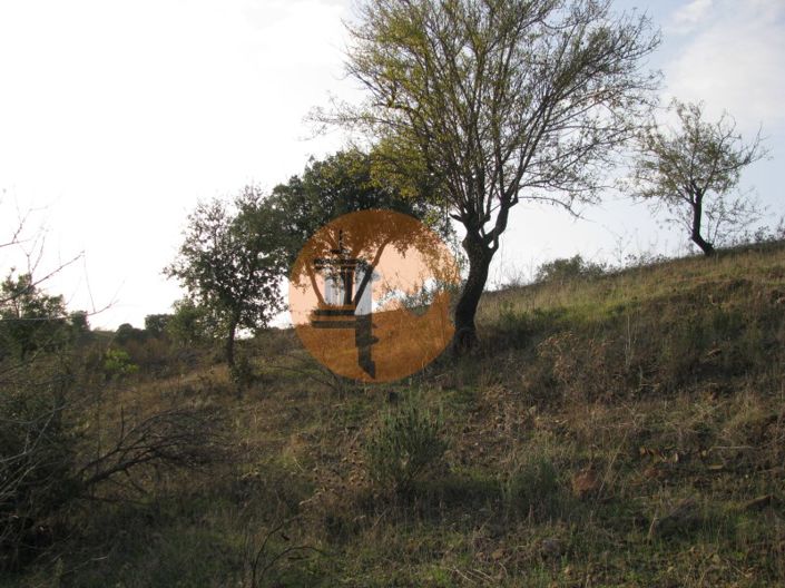 Image No.24-Plot for sale