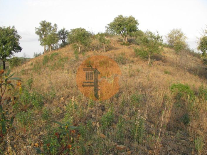 Image No.29-Plot for sale