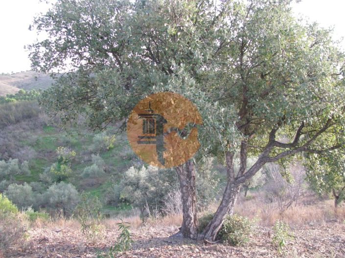 Image No.4-Plot for sale