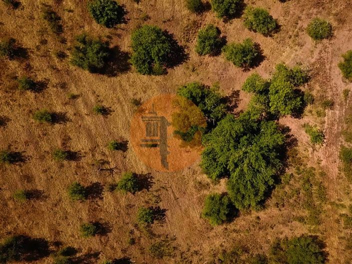 Image No.12-Plot for sale