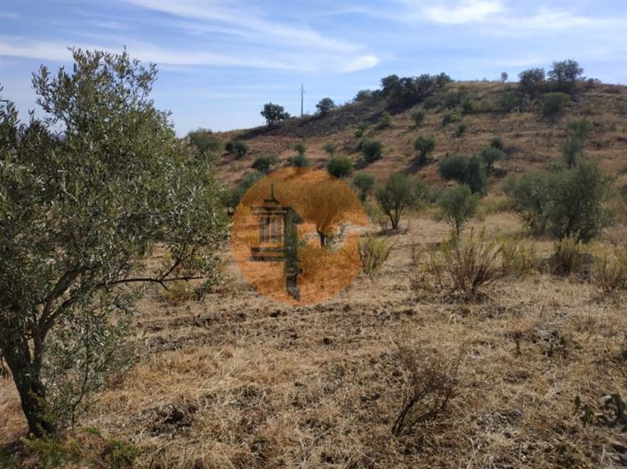 Image No.27-Plot for sale