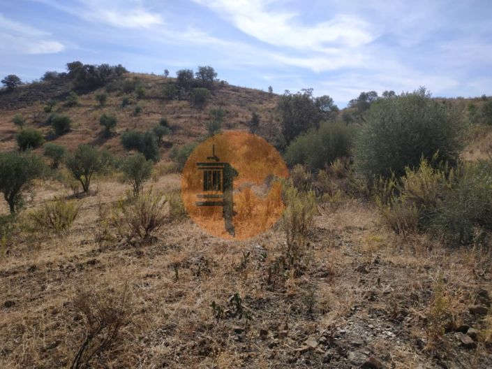 Image No.28-Plot for sale