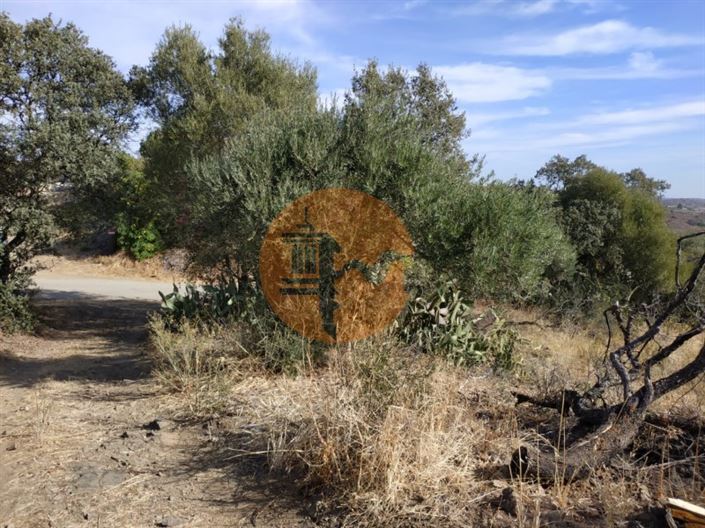 Image No.29-Plot for sale