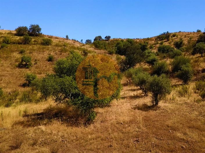 Image No.5-Plot for sale