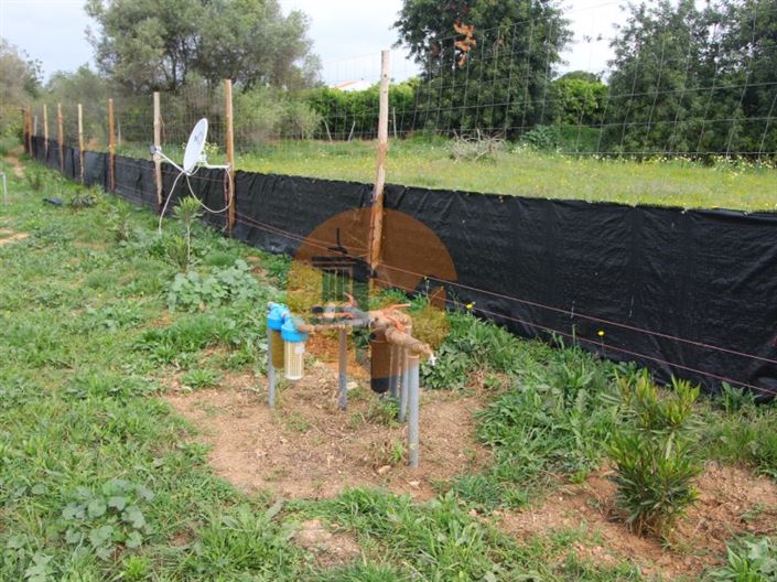 Image No.14-Terrain à vendre à Tavira