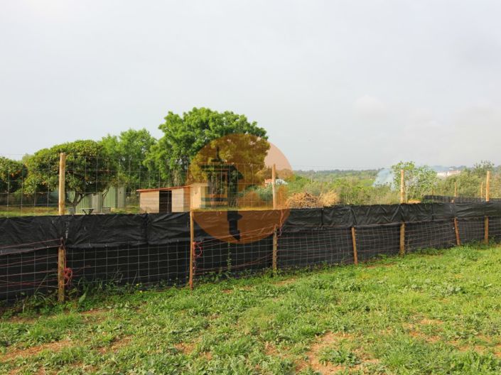 Image No.4-Terrain à vendre à Tavira