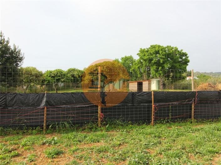 Image No.6-Terrain à vendre à Tavira