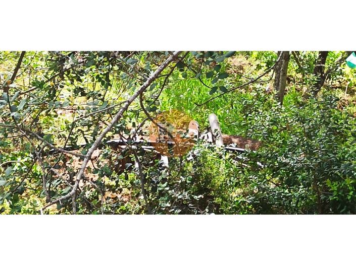 Image No.17-Plot for sale