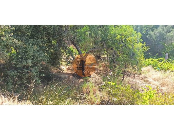 Image No.21-Plot for sale