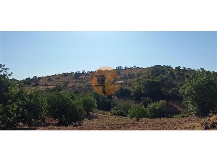 Image No.25-Plot for sale