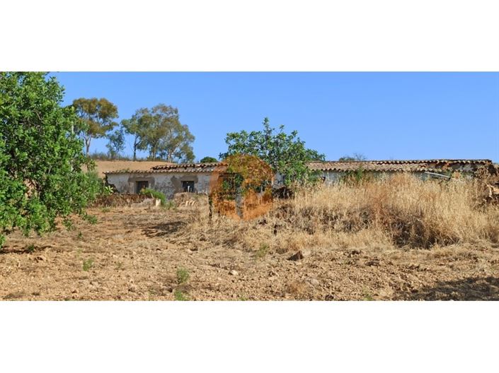 Image No.29-Plot for sale