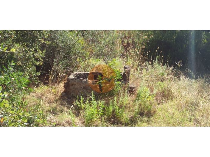 Image No.33-Plot for sale