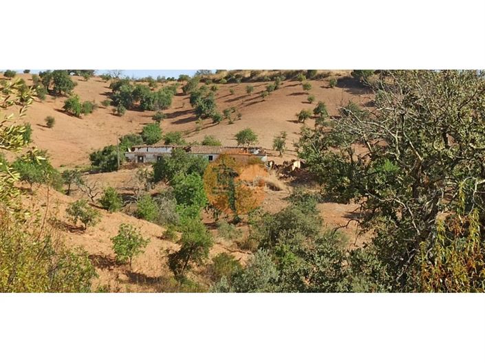 Image No.37-Plot for sale