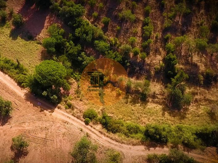 Image No.6-Plot for sale