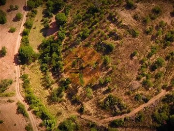 id7cfe3301-0000-0500-0000-000010c00fbd