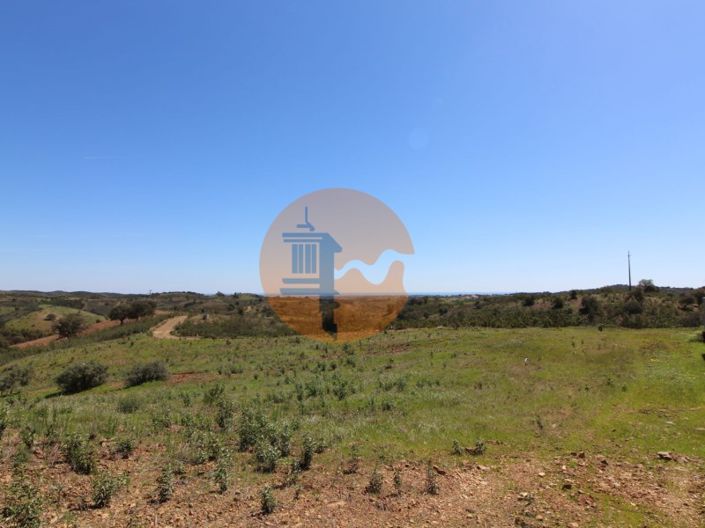 Image No.3-Plot for sale