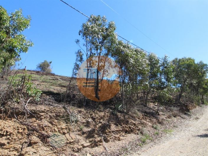 Image No.5-Plot for sale