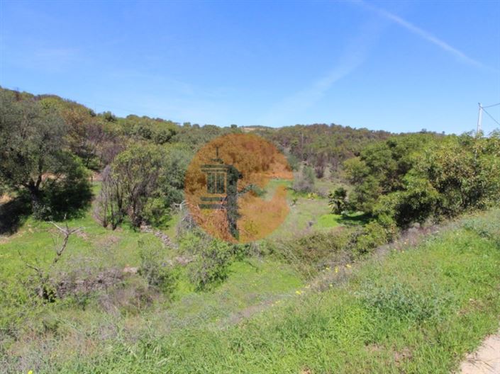 Image No.7-Plot for sale