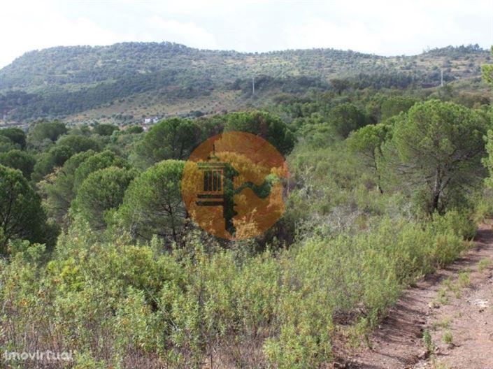 Image No.3-Ferme à vendre à Silves