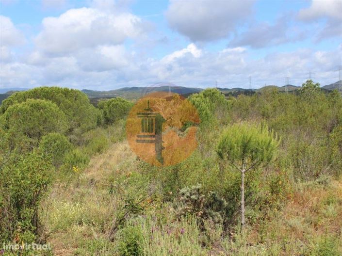 Image No.4-Ferme à vendre à Silves