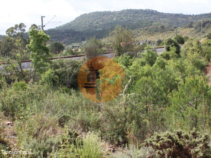 Image No.5-Ferme à vendre à Silves