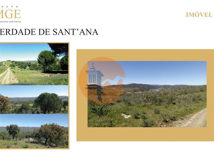 Image No.8-Ferme à vendre à Silves