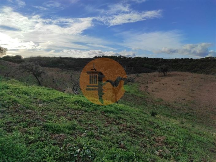 Image No.14-Plot for sale