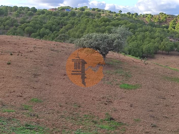 Image No.15-Plot for sale