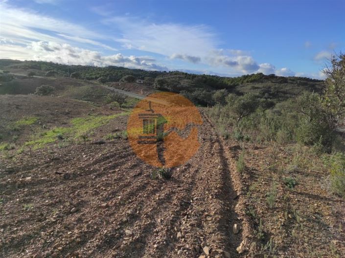 Image No.22-Plot for sale