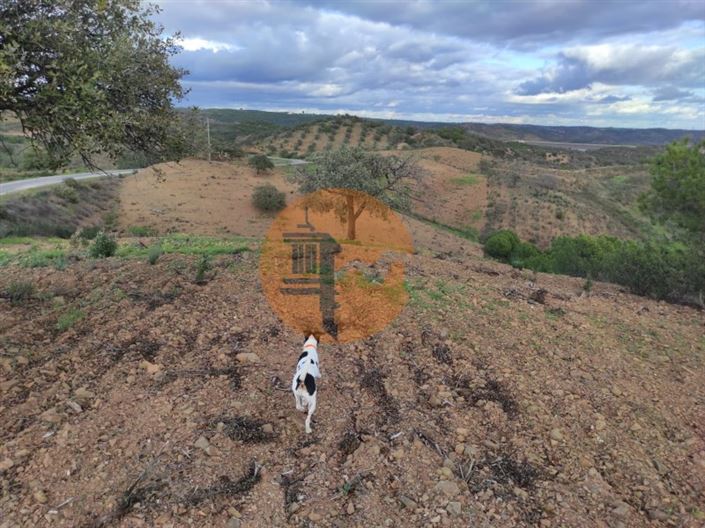 Image No.3-Plot for sale